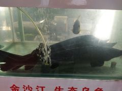 -秋语木桶鱼.酸菜鱼(开发区火车站店)