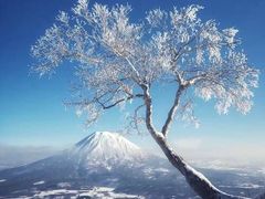 -零度滑雪室内训练中心(莘庄店)