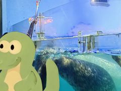 -正佳极地海洋世界