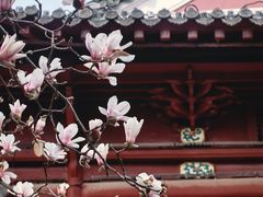 -长春观斋补堂素菜馆