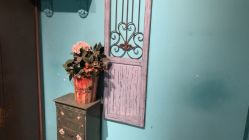 点击看大图 -金棕榈