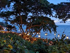 -卷心菜和避孕套餐厅(Pattaya)