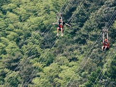 -梦幻奥陶纪景区