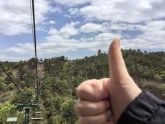 -磬锤峰森林公园