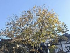 -茅山东方盐湖城景区