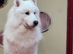 -和它·交个朋友·狗咖猫咖(爱琴海店)