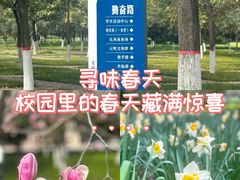 -西安外国语大学(长安校区)