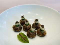 -子福慧(虹桥店)
