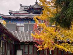 -护国法轮寺