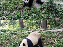 -杭州野生动物世界