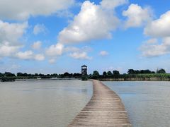 -盐城丹顶鹤湿地生态旅游区