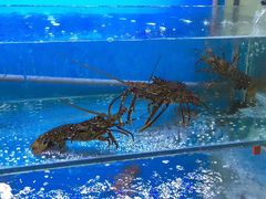 -钱塘府海鲜餐厅