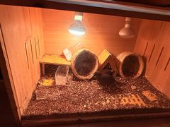 -潭子茶屋(天台店)