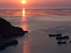 -枸杞岛
