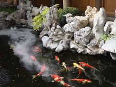 -鲤院·新中式美学·庭院餐厅(夫子庙店)