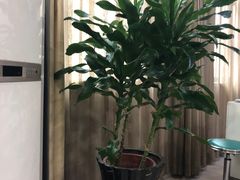 -第四军医大学西京医院·体检二部