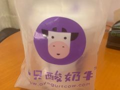 -一只酸奶牛(八一路店)
