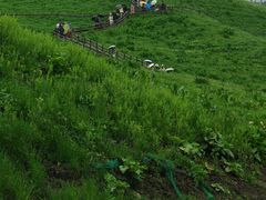 -新疆那拉提国家旅游度假区