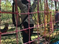 -合肥滨湖国家森林公园