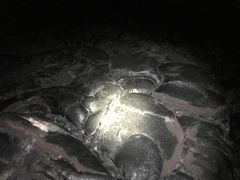 -夏威夷火山国家公园