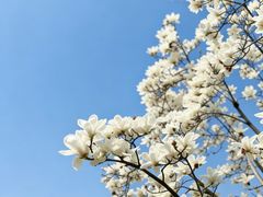 -大拙里·精致融合菜(沙湖桃源国际店)