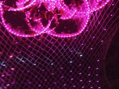 -昆山城市生态森林公园