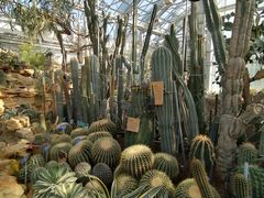 -国家植物园南园