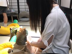 -逗柴咖啡屋·狗咖猫咖宠物桌游