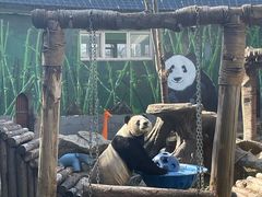 -南昌动物园