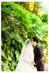 -麦莎MA3A摄影工作室(美兰金邸店)