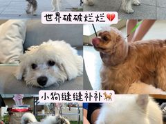 -小意思咖啡店(草桥店)