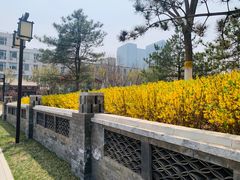 -西海子公园