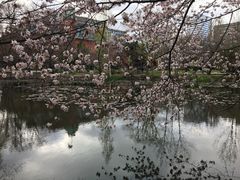 -北海道厅旧本厅舍(旧本庁舎)