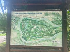 -中国科学院西双版纳热带植物园