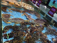 -莞香楼·正宗东莞菜(东升店)
