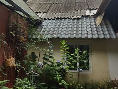 -下面馆