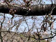 -苏州上方山国家森林公园
