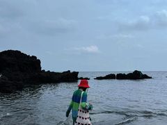 -涉地可支