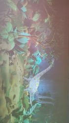 -恐龙探索乐园(磁器口店)