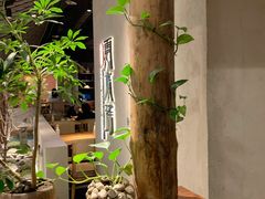 -云水瑶意境云南菜餐厅(大悦城店)