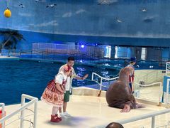 -泉城欧乐堡海洋极地世界