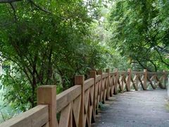 android_upload_pic-广州市流溪河国家森林公园