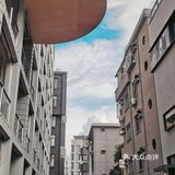 深圳周末|南头古城，文青必打卡[胜利]