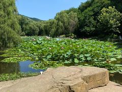 -棒棰岛宾馆景区