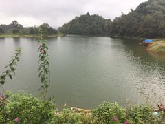 -凯邦亚湖风景区