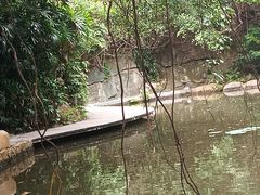 -燕晗山郊野公园