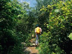 -阳台山自然风景区