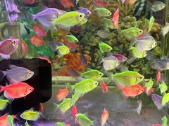 -大润发(花雨店)