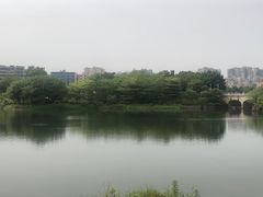 -广东花都湖国家湿地公园