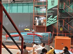-极限PLAY运动娱乐新世界·团建派对表演休闲馆·室内高空游乐园